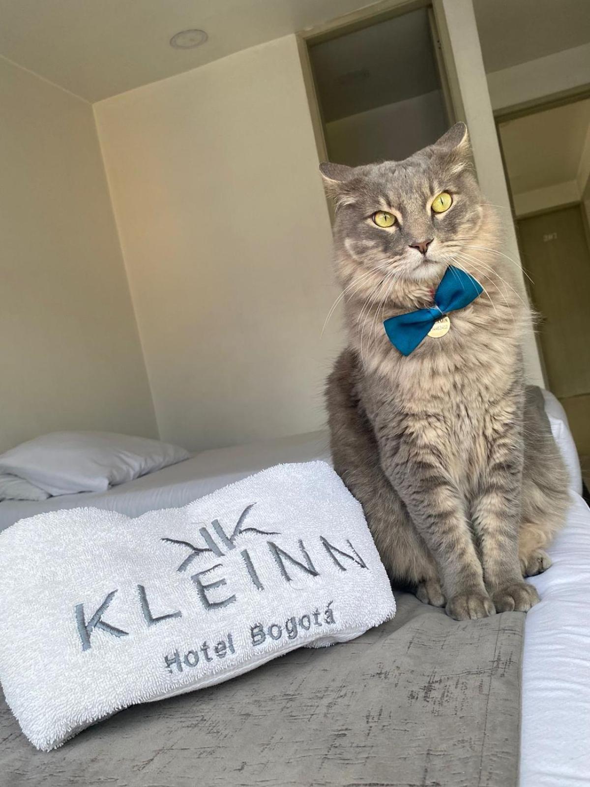 Kleinn Hotel Bogotá Dış mekan fotoğraf